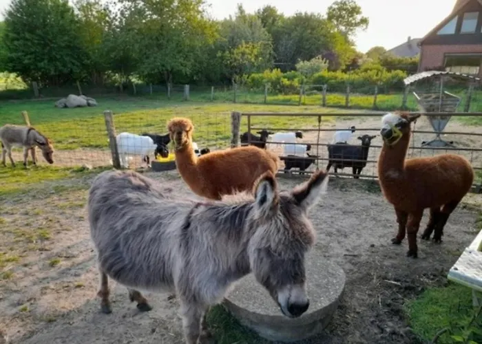 Lena Hanerau-Hademarschen
